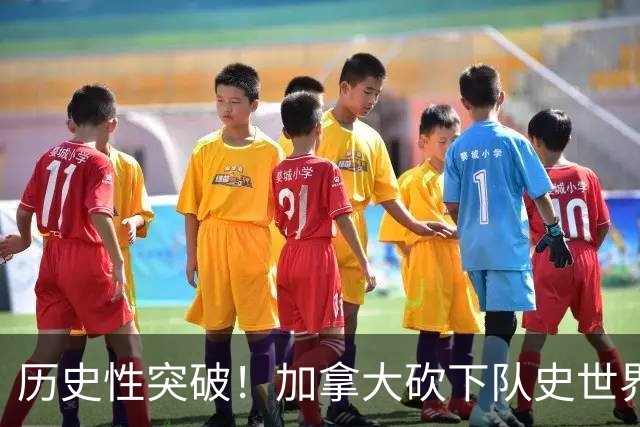 历史性突破！加拿大砍下队史世界杯第1分 此前6战全败